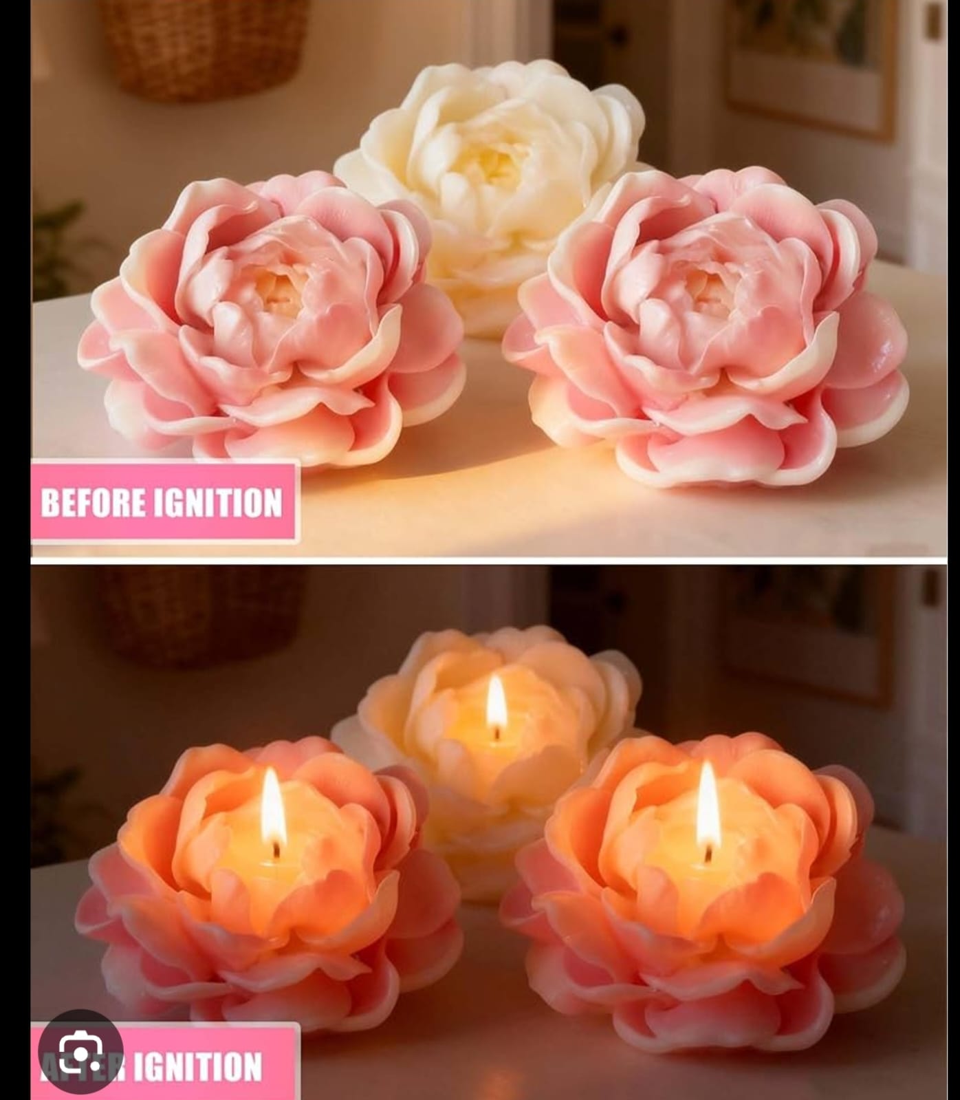 Rose Petal Duo Candle
