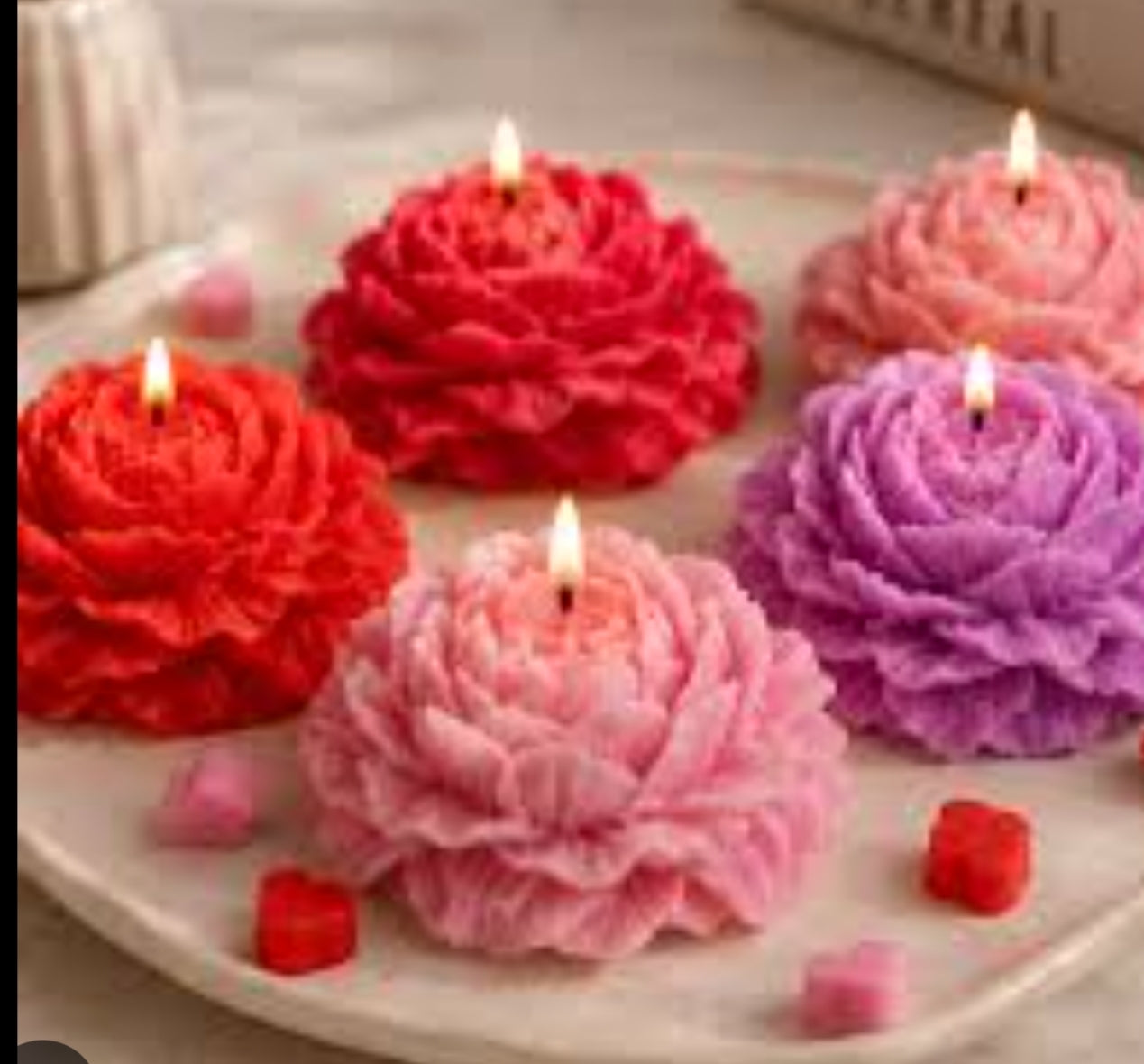 Carnation Bloom Collection